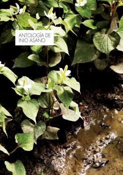 ANTOLOGIA DE INIO ASANO | 9788467942552 | INIO ASANO | Llibreria La Font de Mimir - Llibreria online Barcelona - Comprar llibres català i castellà