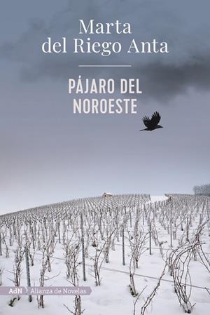 PÁJARO DEL NOROESTE (ADN) | 9788413620558 | RIEGO ANTA, MARTA DEL | Llibreria La Font de Mimir - Llibreria online Barcelona - Comprar llibres català i castellà