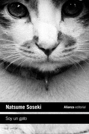 SOY UN GATO | 9788413620718 | SOSEKI, NATSUME | Llibreria La Font de Mimir - Llibreria online Barcelona - Comprar llibres català i castellà