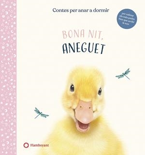 BONA NIT, ANEGUET | 9788417749637 | WOOD, AMANDA | Llibreria La Font de Mimir - Llibreria online Barcelona - Comprar llibres català i castellà