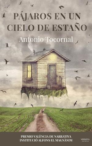 PÁJAROS EN UN CIELO DE ESTAÑO | 9788412272512 | Llibreria La Font de Mimir - Llibreria online Barcelona - Comprar llibres català i castellà