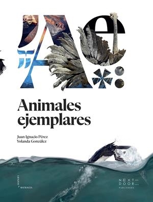 ANIMALES EJEMPLARES | 9788412159899 | PÉREZ IGLESIAS, JUAN IGNACIO | Llibreria La Font de Mimir - Llibreria online Barcelona - Comprar llibres català i castellà