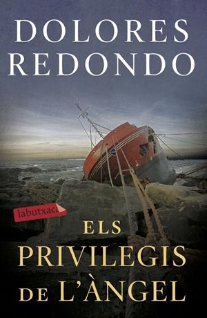 ELS PRIVILEGIS DE L'ÀNGEL | 9788417423971 | REDONDO, DOLORES | Llibreria La Font de Mimir - Llibreria online Barcelona - Comprar llibres català i castellà