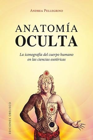 ANATOMÍA OCULTA | 9788491112938 | PELLEGRINO, ANDREA | Llibreria La Font de Mimir - Llibreria online Barcelona - Comprar llibres català i castellà