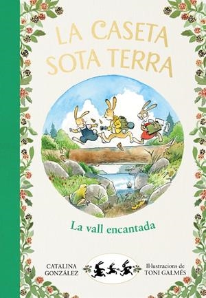 LA VALL ENCANTADA (LA CASETA SOTA TERRA 3) | 9788417921064 | GÓNZALEZ VILAR, CATALINA | Llibreria La Font de Mimir - Llibreria online Barcelona - Comprar llibres català i castellà