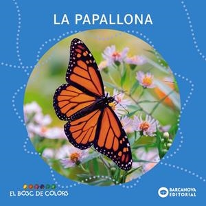 LA PAPALLONA | 9788448952846 | BALDÓ, ESTEL/GIL, ROSA/SOLIVA, MARIA | Llibreria La Font de Mimir - Llibreria online Barcelona - Comprar llibres català i castellà