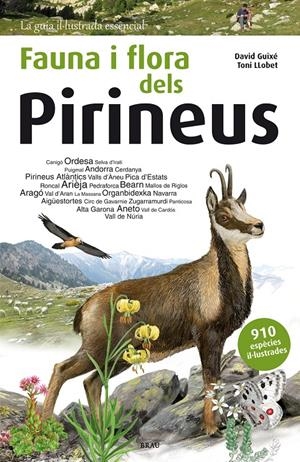 FAUNA I FLORA DELS PIRINEUS | 9788415885559 | GUIXÉ COROMINES, DAVID | Llibreria La Font de Mimir - Llibreria online Barcelona - Comprar llibres català i castellà