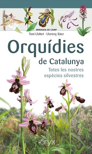 ORQUÍDIES DE CATALUNYA | 9788413560403 | SÀEZ GOÑALONS, LLORENÇ/LLOBET FRANÇOIS, TONI | Llibreria La Font de Mimir - Llibreria online Barcelona - Comprar llibres català i castellà