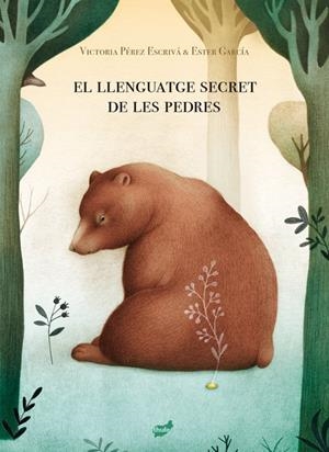 EL LLENGUATGE SECRET DE LES PEDRES | 9788418702013 | PÉREZ ESCRIVÁ, VICTORIA | Llibreria La Font de Mimir - Llibreria online Barcelona - Comprar llibres català i castellà