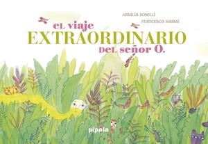 EL VIAJE EXTRAORDINARIO DEL SEÑOR O. | 9788416287963 | BOSELLI AMALIA | Llibreria La Font de Mimir - Llibreria online Barcelona - Comprar llibres català i castellà