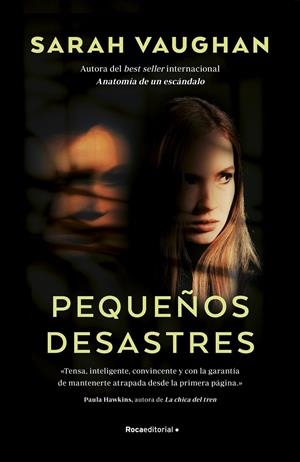 PEQUEÑOS DESASTRES | 9788417541057 | VAUGHAN, SARAH | Llibreria La Font de Mimir - Llibreria online Barcelona - Comprar llibres català i castellà