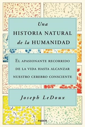 UNA HISTORIA NATURAL DE LA HUMANIDAD | 9788449338274 | LEDOUX, JOSEPH | Llibreria La Font de Mimir - Llibreria online Barcelona - Comprar llibres català i castellà