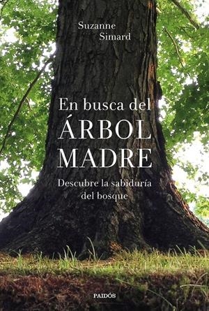 EN BUSCA DEL ÁRBOL MADRE | 9788449338311 | SIMARD, SUZANNE | Llibreria La Font de Mimir - Llibreria online Barcelona - Comprar llibres català i castellà