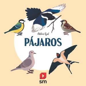 PÁJAROS | 9788413188607 | RUEL, ADELINE | Llibreria La Font de Mimir - Llibreria online Barcelona - Comprar llibres català i castellà