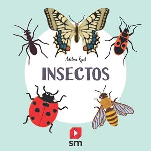 INSECTOS | 9788413188591 | RUEL, ADELINE | Llibreria La Font de Mimir - Llibreria online Barcelona - Comprar llibres català i castellà