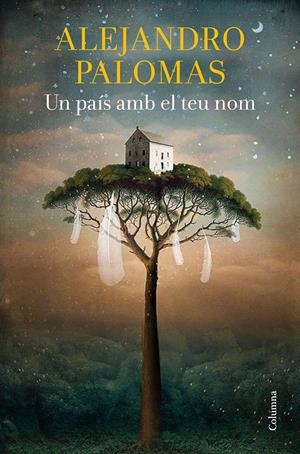UN PAÍS AMB EL TEU NOM | 9788466428156 | PALOMAS, ALEJANDRO | Llibreria La Font de Mimir - Llibreria online Barcelona - Comprar llibres català i castellà