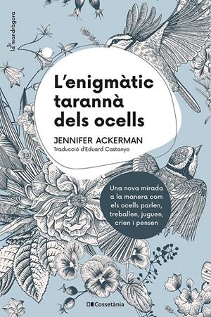 L'ENIGMÀTIC TARANNÀ DELS OCELLS | 9788413560472 | ACKERMAN, JENNIFER | Llibreria La Font de Mimir - Llibreria online Barcelona - Comprar llibres català i castellà