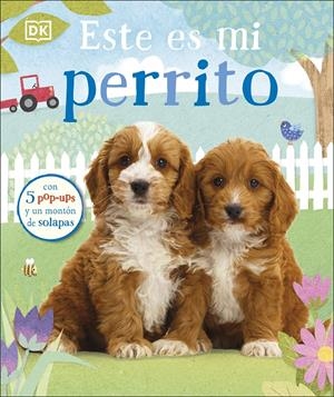 ESTE ES MI PERRITO | 9780241538173 | DK, | Llibreria La Font de Mimir - Llibreria online Barcelona - Comprar llibres català i castellà