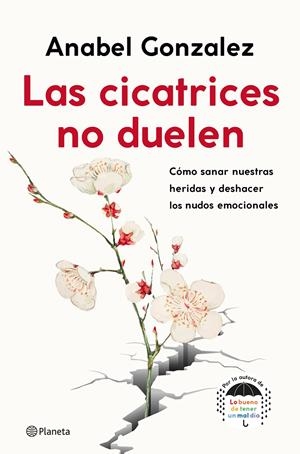 LAS CICATRICES NO DUELEN | 9788408239093 | GONZALEZ, ANABEL | Llibreria La Font de Mimir - Llibreria online Barcelona - Comprar llibres català i castellà