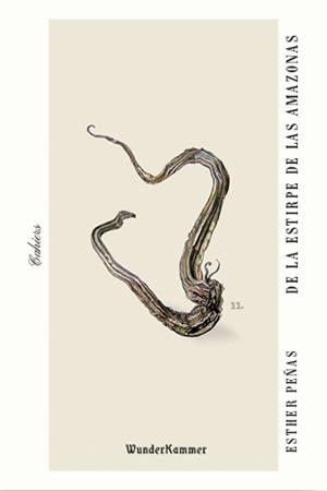 DE LA ESTIRPE DE LAS AMAZONAS | 9788412401004 | PEÑAS DOMINGO, ESTHER | Llibreria La Font de Mimir - Llibreria online Barcelona - Comprar llibres català i castellà