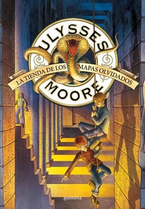 LA TIENDA DE LOS MAPAS OLVIDADOS (SERIE ULYSSES MOORE 2) | 9788418798184 | BACCALARIO, PIERDOMENICO | Llibreria La Font de Mimir - Llibreria online Barcelona - Comprar llibres català i castellà