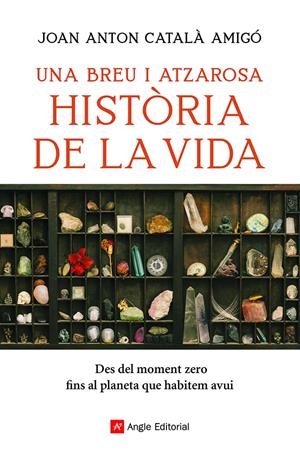 UNA BREU I ATZAROSA HISTÒRIA DE LA VIDA | 9788418197956 | CATALÀ AMIGÓ, JOAN ANTON | Llibreria La Font de Mimir - Llibreria online Barcelona - Comprar llibres català i castellà