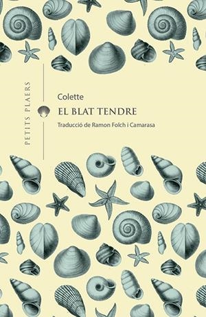 EL BLAT TENDRE | 9788417998158 | COLETTE | Llibreria La Font de Mimir - Llibreria online Barcelona - Comprar llibres català i castellà