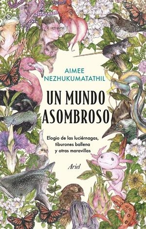 UN MUNDO ASOMBROSO | 9788434435582 | NEZHUKUMATATHIL, AIMEE | Llibreria La Font de Mimir - Llibreria online Barcelona - Comprar llibres català i castellà