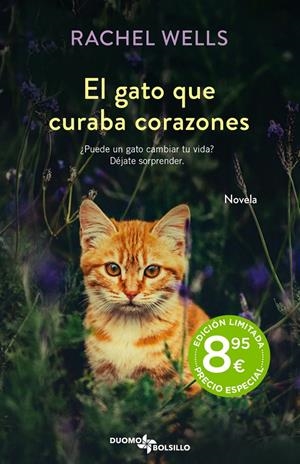 EL GATO QUE CURABA CORAZONES | 9788419004468 | WELLS, RACHEL | Llibreria La Font de Mimir - Llibreria online Barcelona - Comprar llibres català i castellà