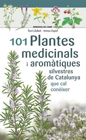 101 PLANTES MEDICINALS I AROMÀTIQUES SILVESTRES DE CATALUNYA | 9788413562209 | ESPEL, IMMA/LLOBET FRANÇOIS, TONI | Llibreria La Font de Mimir - Llibreria online Barcelona - Comprar llibres català i castellà
