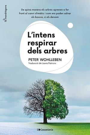 L'INTENS RESPIRAR DELS ARBRES | 9788413562087 | WOHLLEBEN, PETER | Llibreria La Font de Mimir - Llibreria online Barcelona - Comprar llibres català i castellà