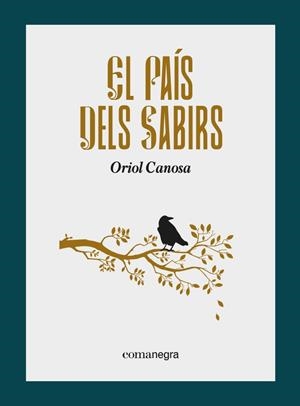 EL PAÍS DELS SABIRS | 9788418857799 | CANOSA, ORIOL | Llibreria La Font de Mimir - Llibreria online Barcelona - Comprar llibres català i castellà