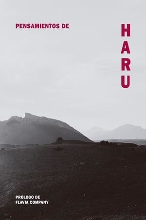 PENSAMIENTOS DE HARU | 9788418223495 | COMPANY, FLAVIA | Llibreria La Font de Mimir - Llibreria online Barcelona - Comprar llibres català i castellà