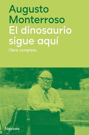 EL DINOSAURIO SIGUE AQUÍ | 9788419311177 | MONTERROSO, AUGUSTO | Llibreria La Font de Mimir - Llibreria online Barcelona - Comprar llibres català i castellà