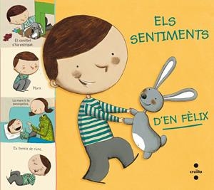 C-ELS SENTIMENTS D'EN FELIX | 9788466143325 | LÉVY, DIDIER | Llibreria La Font de Mimir - Llibreria online Barcelona - Comprar llibres català i castellà