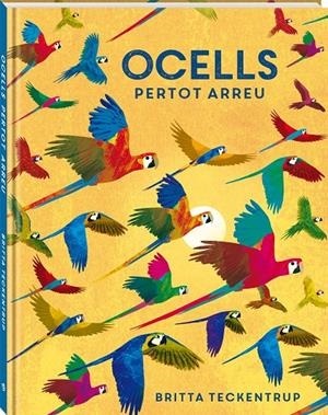 OCELLS PERTOT ARREU | 9788418762468 | TECKENTRUP, BRITTA | Llibreria La Font de Mimir - Llibreria online Barcelona - Comprar llibres català i castellà