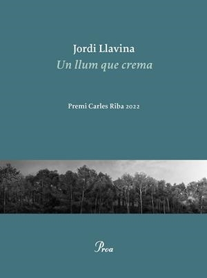 UN LLUM QUE CREMA | 9788475889979 | LLAVINA, JORDI | Llibreria La Font de Mimir - Llibreria online Barcelona - Comprar llibres català i castellà