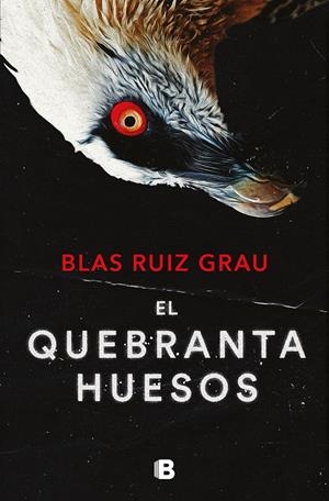 EL QUEBRANTAHUESOS (NICOLÁS VALDÉS 4) | 9788466673600 | RUIZ GRAU, BLAS | Llibreria La Font de Mimir - Llibreria online Barcelona - Comprar llibres català i castellà