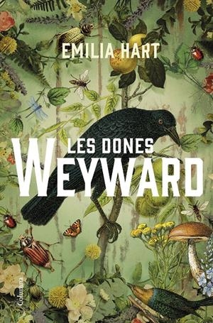 LES DONES WEYWARD | 9788466430210 | HART, EMILIA | Llibreria La Font de Mimir - Llibreria online Barcelona - Comprar llibres català i castellà