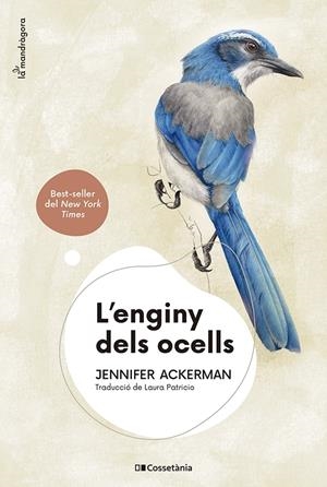L'ENGINY DELS OCELLS | 9788413562544 | ACKERMAN, JENNIFER | Llibreria La Font de Mimir - Llibreria online Barcelona - Comprar llibres català i castellà