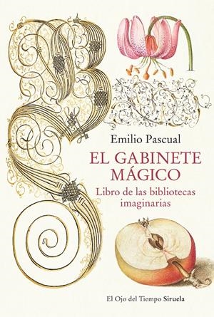 EL GABINETE MÁGICO | 9788419553041 | PASCUAL, EMILIO | Llibreria La Font de Mimir - Llibreria online Barcelona - Comprar llibres català i castellà