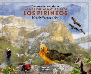 CUADERNO DE MONTAÑA DE LAS MARAVILLAS NATURALES DE LOS PIRINEOS | 9788491586036 | VIÑUALES COBOS, EDUARDO | Llibreria La Font de Mimir - Llibreria online Barcelona - Comprar llibres català i castellà