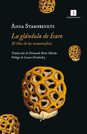 LA GLÁNDULA DE ÍCARO | 9788419581020 | STAROBINETS, ANNA | Llibreria La Font de Mimir - Llibreria online Barcelona - Comprar llibres català i castellà