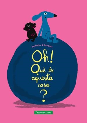 OH! QUÈ ÉS AQUESTA COSA? | 9788418520587 | RAMADIER, CÉDRIC | Llibreria La Font de Mimir - Llibreria online Barcelona - Comprar llibres català i castellà