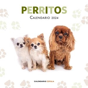 CALENDARIO PERRITOS 2024 | 9788448038069 | AA. VV. | Llibreria La Font de Mimir - Llibreria online Barcelona - Comprar llibres català i castellà