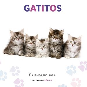 CALENDARIO GATITOS 2024 | 9788448038076 | AA. VV. | Llibreria La Font de Mimir - Llibreria online Barcelona - Comprar llibres català i castellà