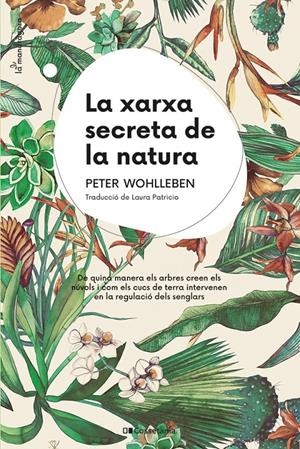 LA XARXA SECRETA DE LA NATURA | 9788413562872 | WOHLLEBEN, PETER | Llibreria La Font de Mimir - Llibreria online Barcelona - Comprar llibres català i castellà