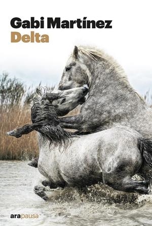 DELTA | 9788411730068 | MARTÍNEZ CENDRERO, GABRIEL | Llibreria La Font de Mimir - Llibreria online Barcelona - Comprar llibres català i castellà