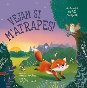 VEJAM SI M'ATRAPES! | 9788447950676 | ARCHER, MANDY | Llibreria La Font de Mimir - Llibreria online Barcelona - Comprar llibres català i castellà