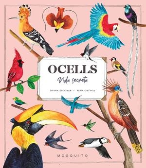 OCELLS. VIDA SECRETA | 9788419095534 | ESTEBAN, DIANA | Llibreria La Font de Mimir - Llibreria online Barcelona - Comprar llibres català i castellà